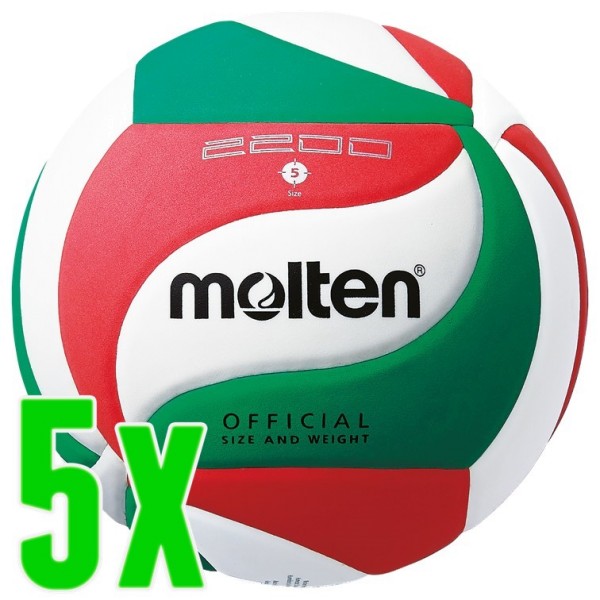 5er Ballpaket Molten Volleyball Trainingsball 2200